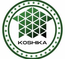 Koshika LLC Profile Picture